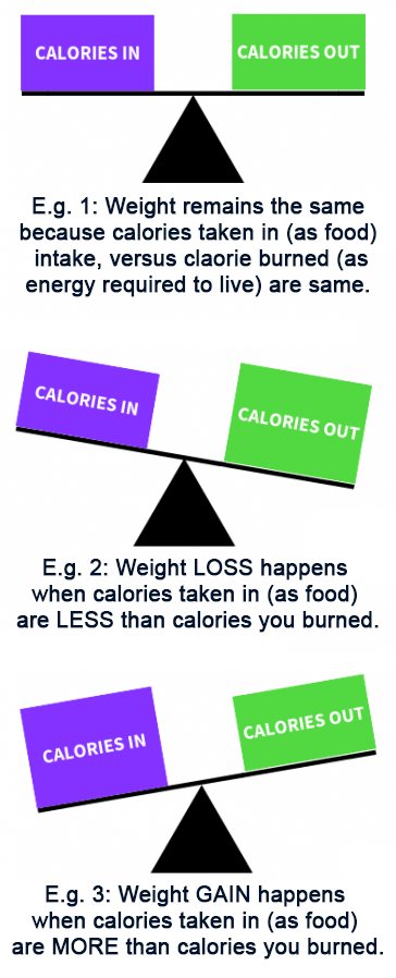 calories in versus calories out